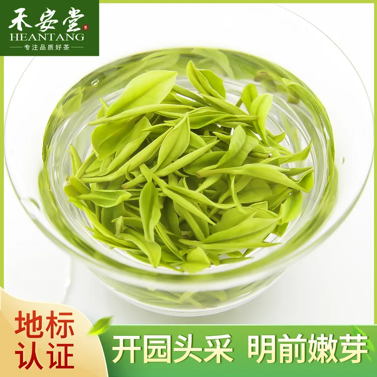 【现货】2025年新茶安吉白茶明前头采特级嫩芽茶叶禾安堂原产地直发