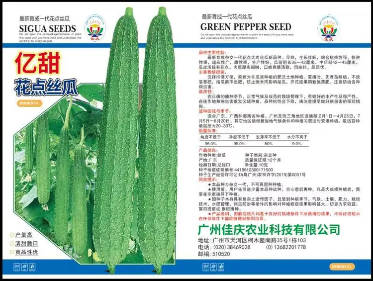 耐病毒高产花点大肉丝瓜种子春秋可种植耐寒高产种子