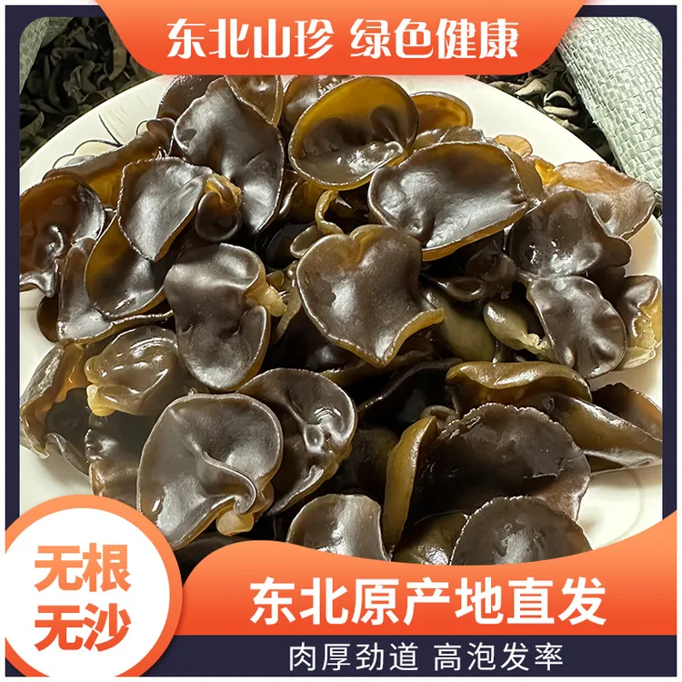 【中秋特惠】25年新耳正宗东北原产地特产黑龙江鹤岗头茬黑木耳碗耳