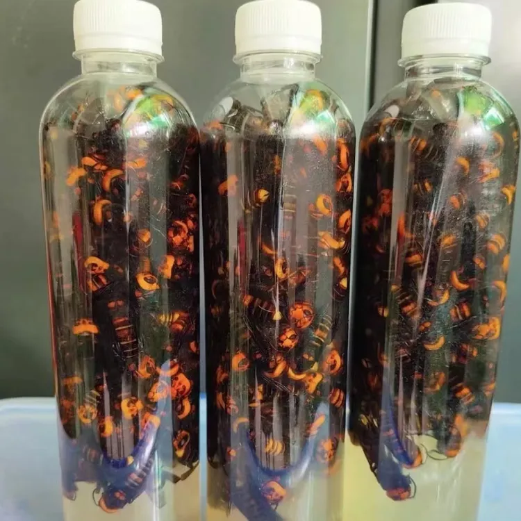 红娘虎头蜂老蜂110只带原液