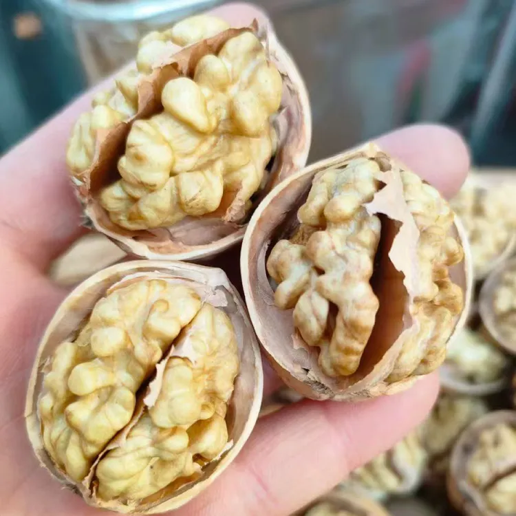 25年新疆阿克苏纸皮未清洗核桃原生态手捏开自然晒干上班充饥零食