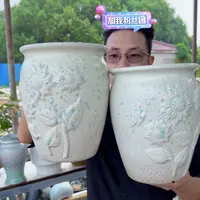 紫砂花盆口19高24（两个白色太阳花老庄