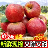 四川大凉山丑苹果新鲜脆甜多汁红富士水果现摘