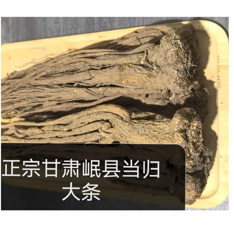 正宗甘肃岷县当归大条滋补养生