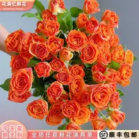 次日达 -【橙色芭比】5枝多头玫瑰鲜花鲜切花家居用花批发任意两单升级顺丰包邮三单送随机花瓶今天拍明天到cc
