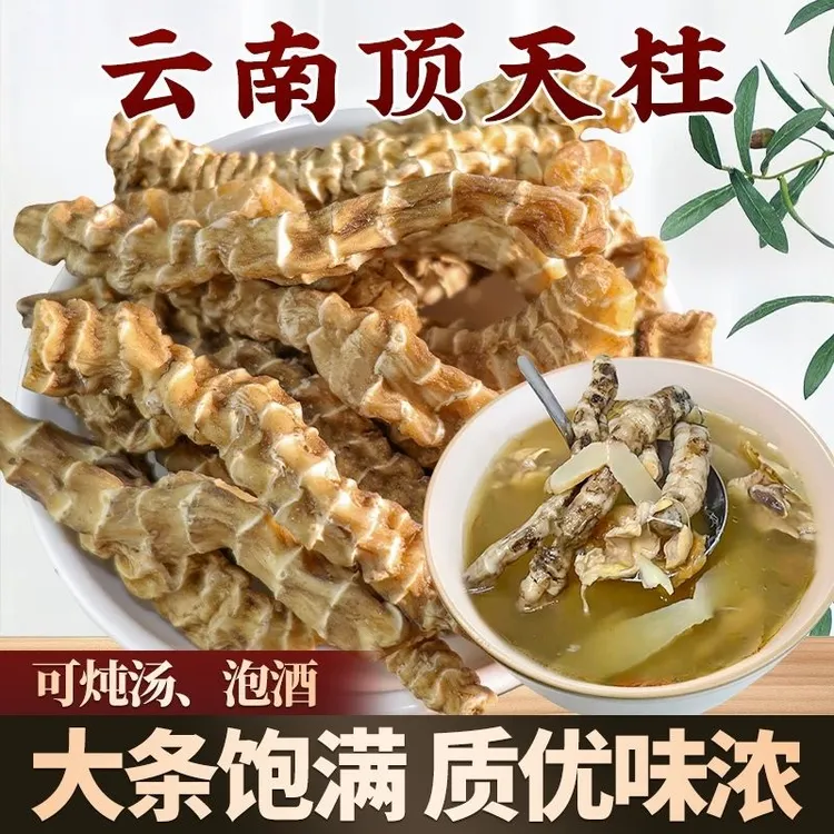 精选云南虫草参地参中药材地蚕 地草参 地龙菜 地参干 正品批发