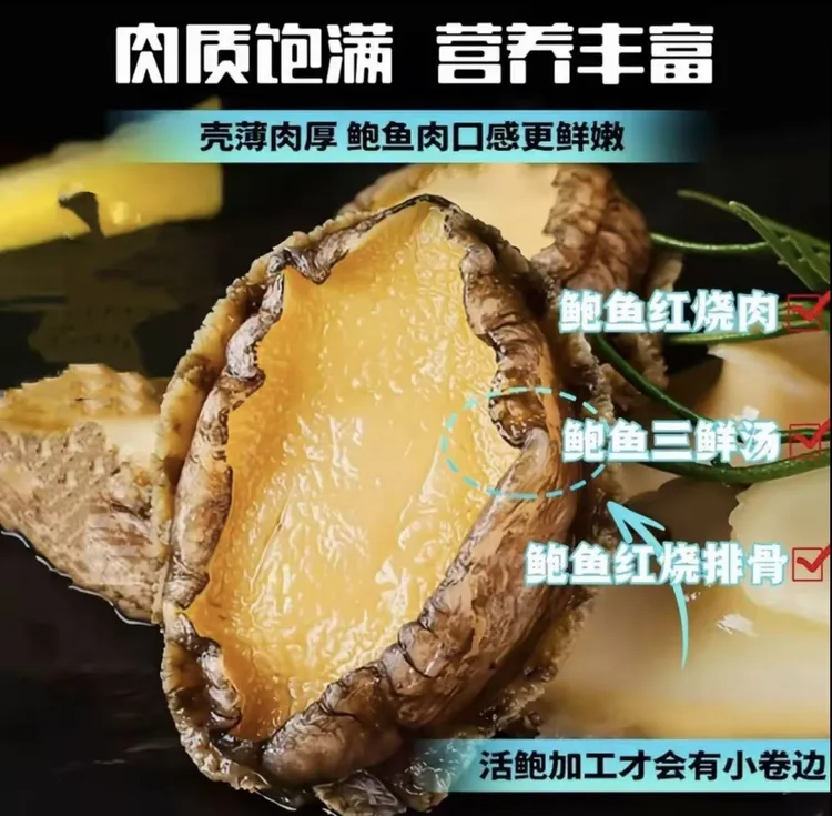 【最新日期】保证新鲜海鲜大号鲍鱼5~6厘米鲜活去壳去内脏鲍鱼肉