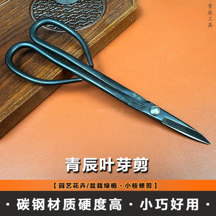 青辰叶芽剪园艺家用小枝剪盆景细枝剪拆铝丝修枝花艺插花剪枝剪刀