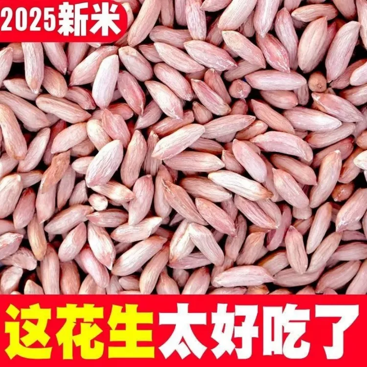 新鲜小瘪子花生小粒花生仁甘甜小瘪花生瘪花生米小粒花生2025养胃