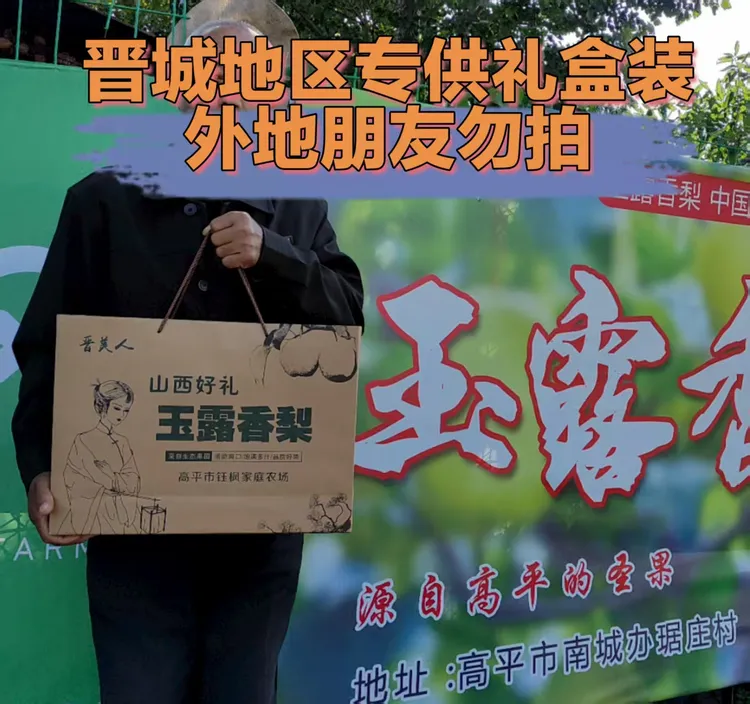 晋城地区专供外地请勿下单，晋美人玉露香梨，多汁多美味顺丰包邮