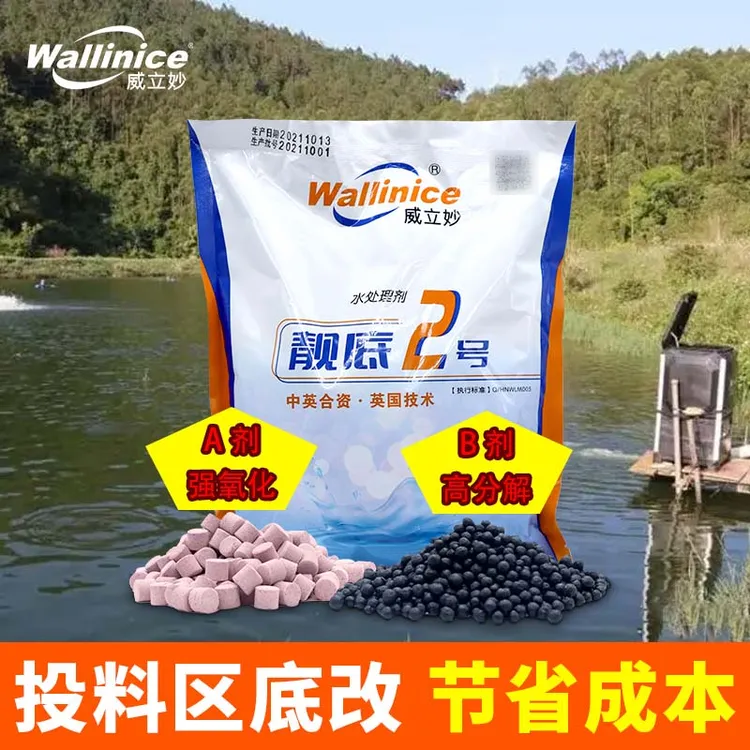 靓底2号新型强氧化改底水产养殖鱼虾蟹塘除黑臭泥降氨氮亚硝酸盐