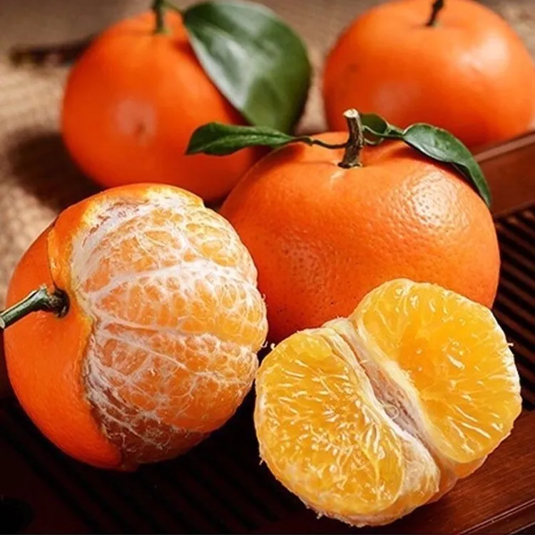 云南高原沃柑新鲜水果现摘沙糖桔蜜橘柑橘橘子4.5-10斤
