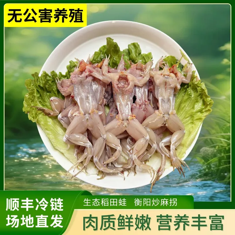 【新鲜蛙肉】正宗生态稻田蛙肉 紧实鲜甜 冷链运输