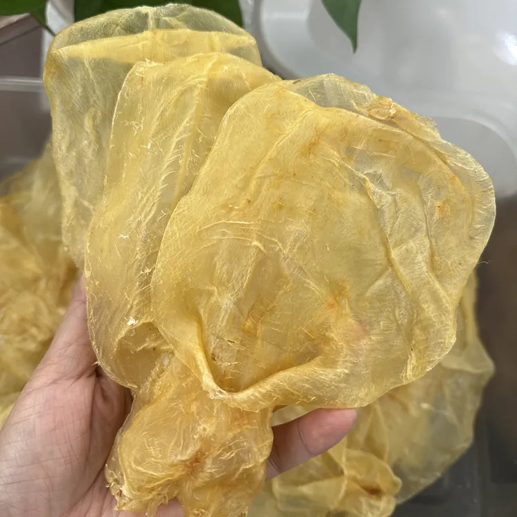 蜘蛛胶片 甲肚鱼胶海味花胶干货 老蜡厚肉