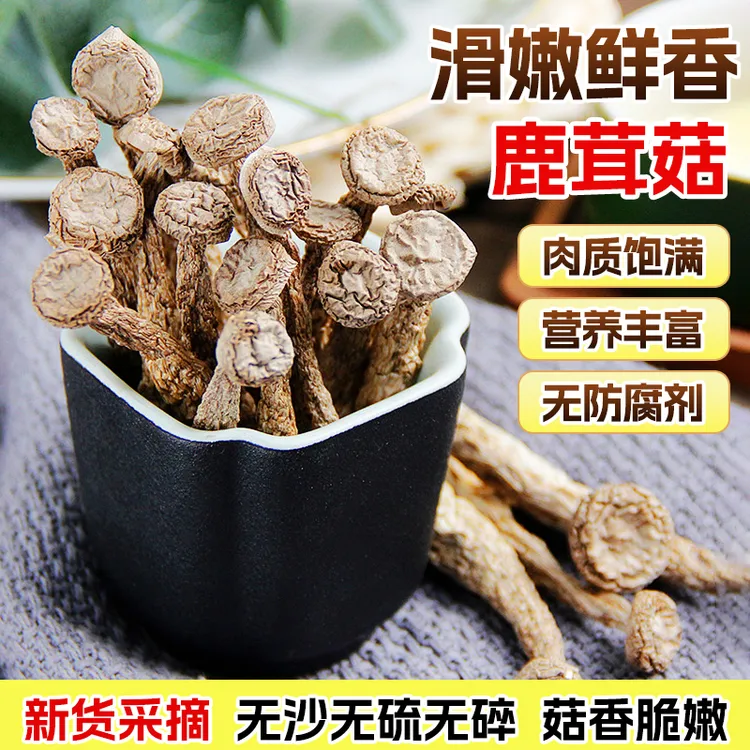 鹿茸菇干货完整不碎煲汤炒腊肉的食用菌500g食材滑嫩鲜香营养丰富