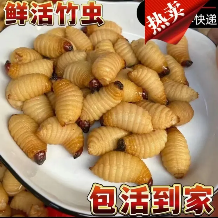 [主播推荐]新鲜竹虫竹笋虫椰子虫食用冰冻昆虫广东特产