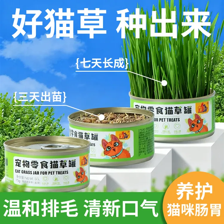 猫草罐懒人水培猫草盆栽泡面猫草片新鲜天然化毛膏猫咪排毛球产品