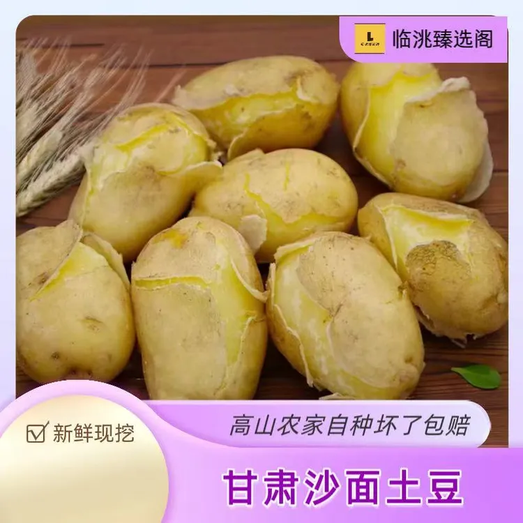 批发2025黄心沙面土豆洋芋甘肃定西原产地现挖现发