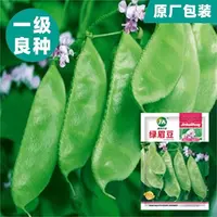【满五包包邮】眉豆种子蛾眉豆扁豆种子绿眉豆紫眉豆蔬菜阳台种植易