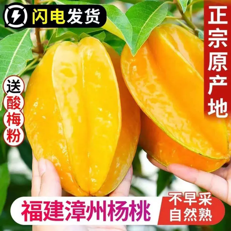 新鲜采摘正宗福建漳州下河树上熟香蜜甜杨桃孕妇水果产地直发