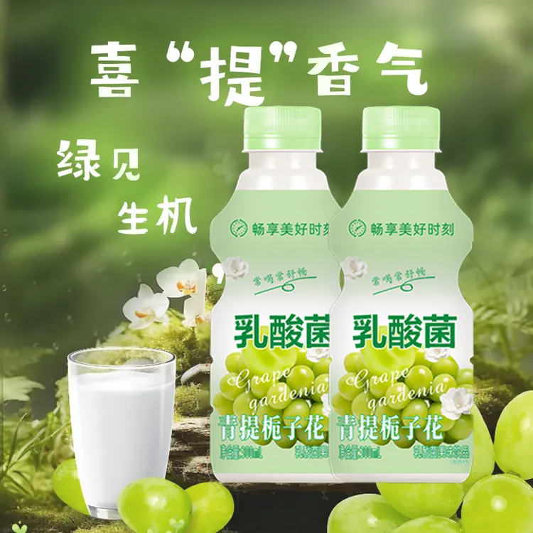 【新鲜日期】青提+栀子花乳酸菌发酵饮品12瓶超值装超值实惠