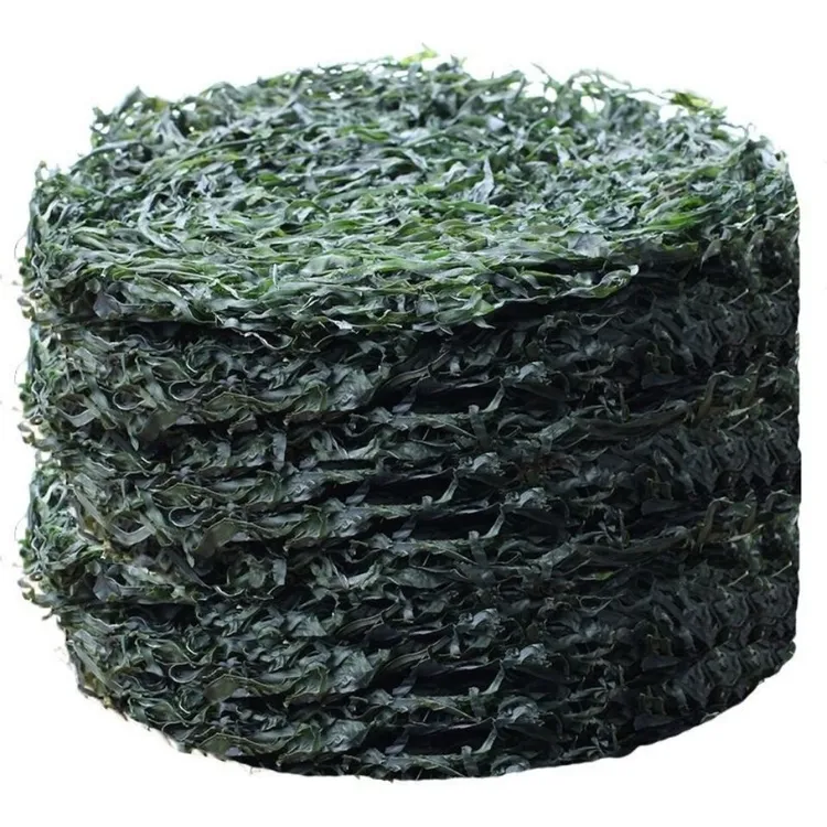 【小丸子】海带丝 凉拌菜新鲜煮汤