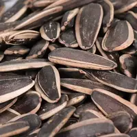 【买一斤送一斤】葵花籽原味炒熟瓜子大颗粒瓜子葵花籽饱满