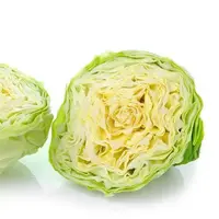 口感甘蓝苗手撕牛心包菜苗卷心菜苗有机菜花苗西兰花苗西蓝花菜苗