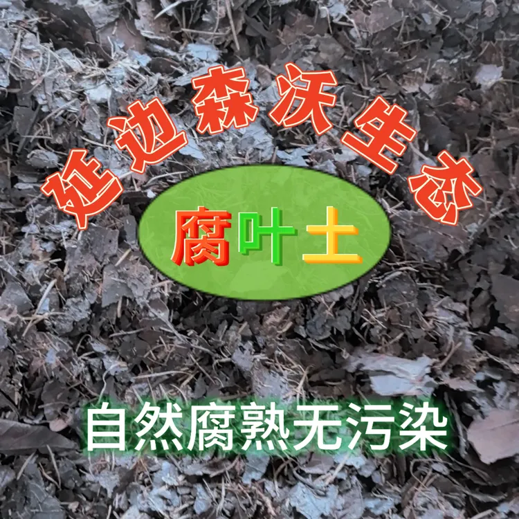 君子兰专用腐叶土调配均匀潮湿发货