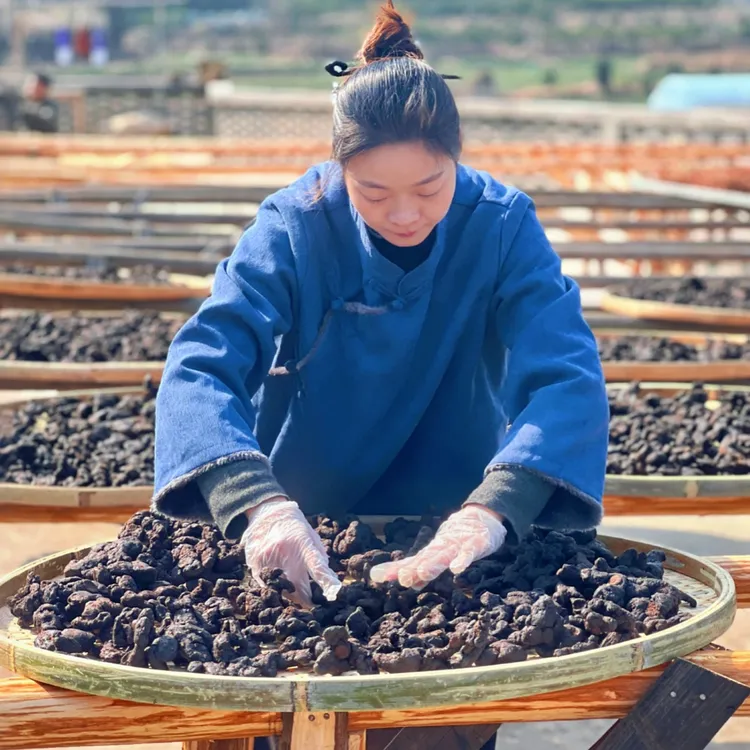 古法养生茶 非遗代用茶纯手工炮制养生茶 即食泡水