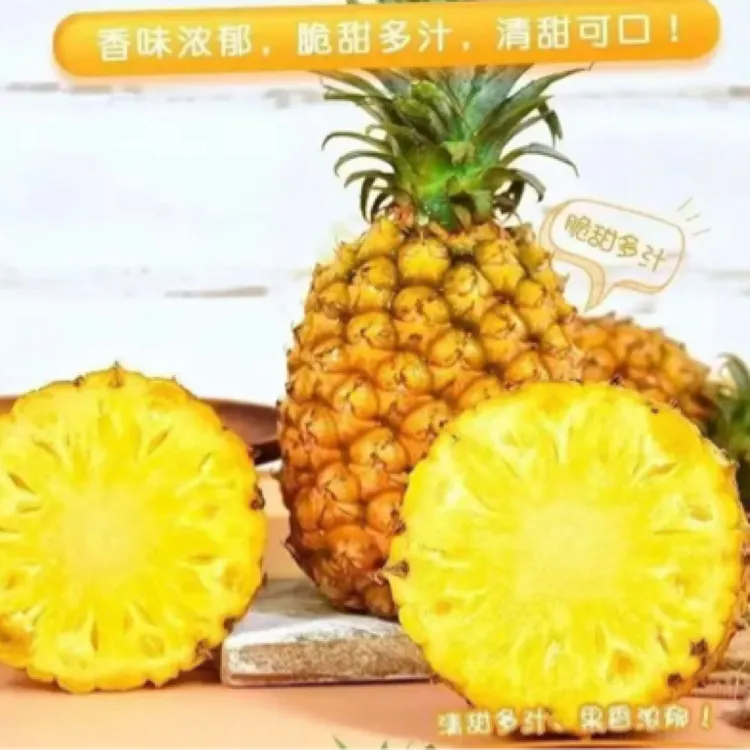 海南直发现摘金钻凤梨香甜爆汁应季水果