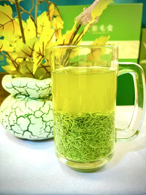 【2025新茶】茶姐茶信阳毛尖明前断芽尖