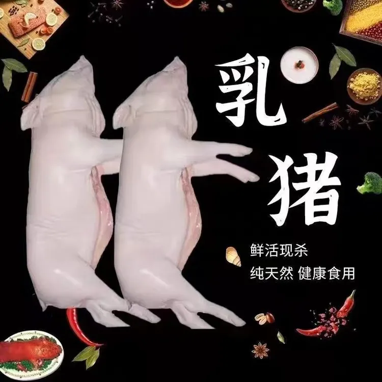 新鲜宰杀小乳猪鲜货冷冻规格齐全烤乳猪酒店餐饮宴席宴请送礼聚会