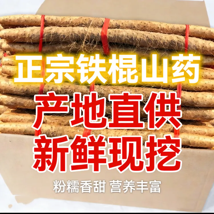 【自家种植】河南正宗垆土铁棍山药坏山药河南焦作温县种植