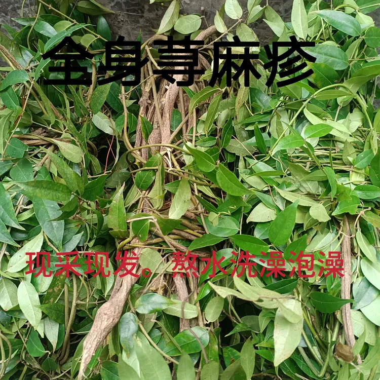 野生深山荨麻疹草药洗澡泡澡