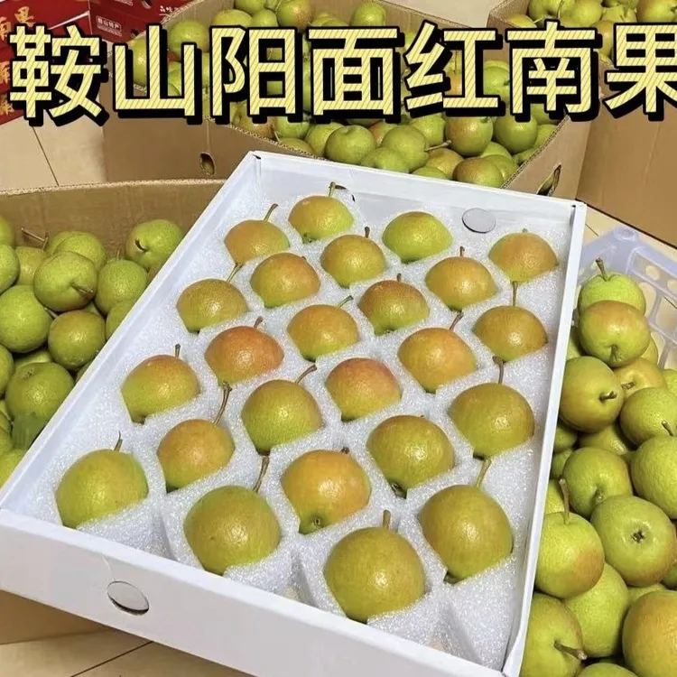 【香甜可口】鞍山正宗南果梨新鲜水果老人孕妇水果送礼必备京东包邮