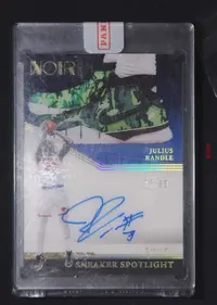 【直播开价】朱利叶斯 99编 鞋灯 帕尼尼NBA国宝手提签名球星卡 