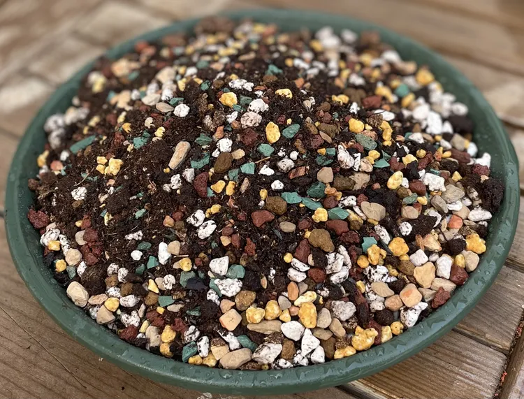 高端多肉颗粒土70%颗粒土多肉控型上色种植多肉土营养土