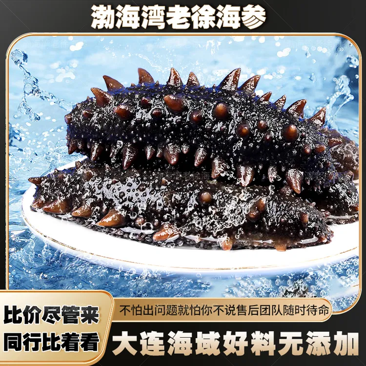 大连即食海参孕妇级源头工厂冷冻鲜食海参顺丰包邮滋补正宗好辽参