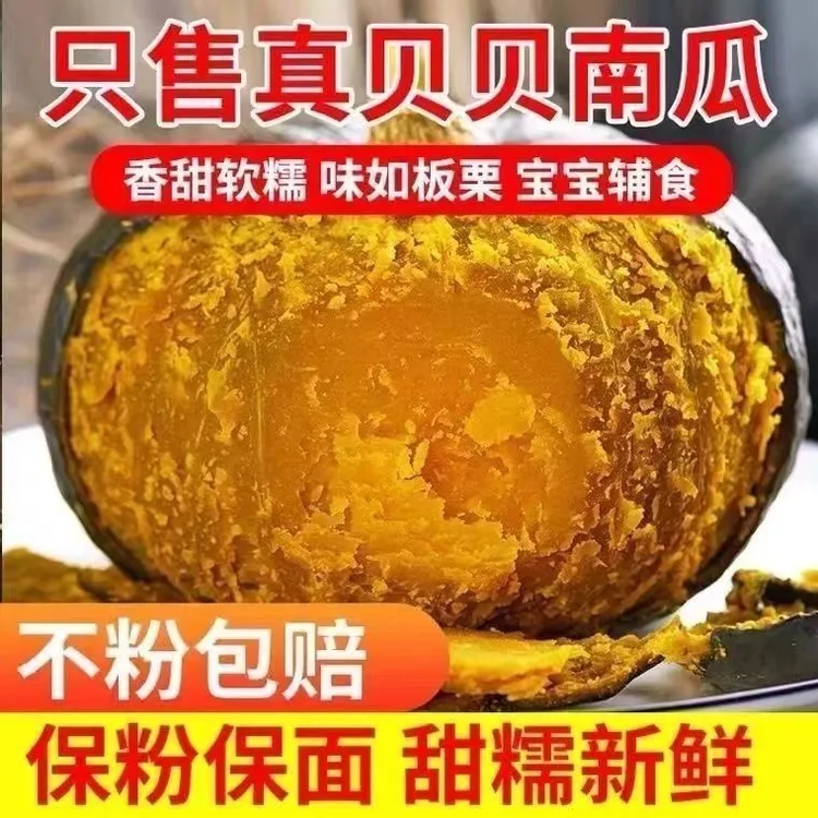 【巨惠五斤】甄选贝贝南瓜板栗瓜甄选同款新鲜粉质细腻香甜坏果包赔