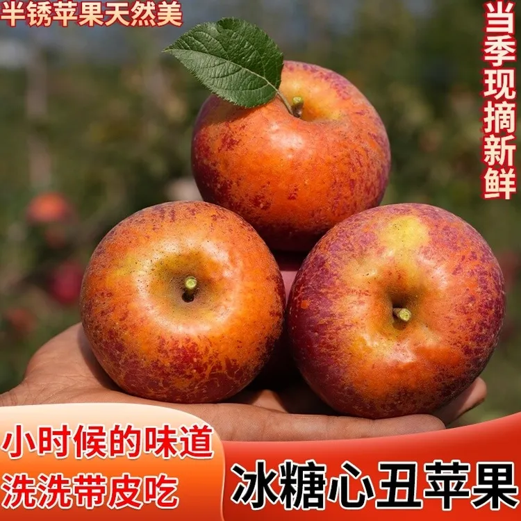 正宗云南昭通红富士冰糖心丑苹果脆甜多汁新鲜水果产地新鲜苹果