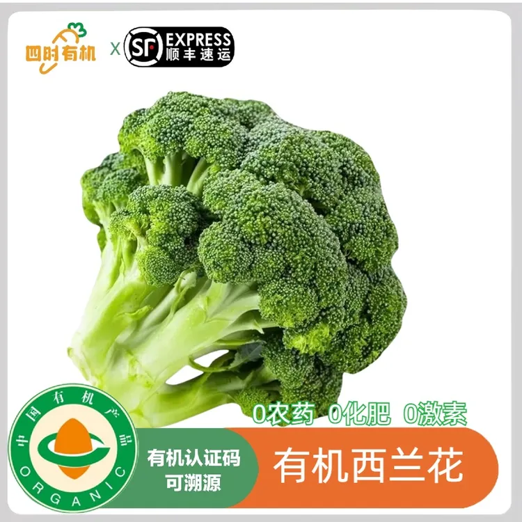 有机西兰花3斤/1.8斤 新鲜脆嫩花椰菜蔬菜当季辅食无农残自然生长