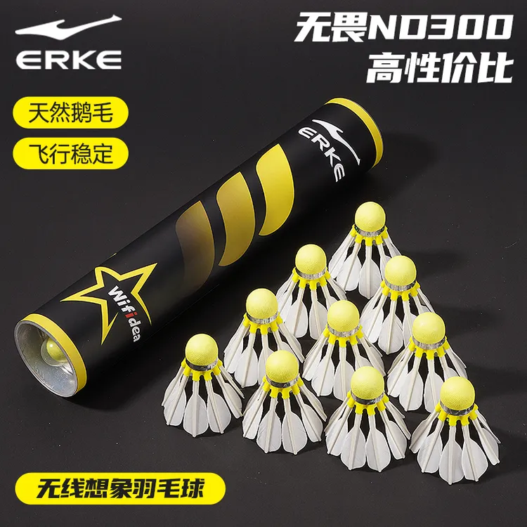 鸿星尔克无线想象羽毛球耐打鹅毛球无畏ND300学生初学训练用球