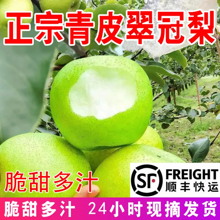 翠冠梨青皮薄皮梨子脆甜多汁麻城白果木牌楼梨子水果砀山黄花梨