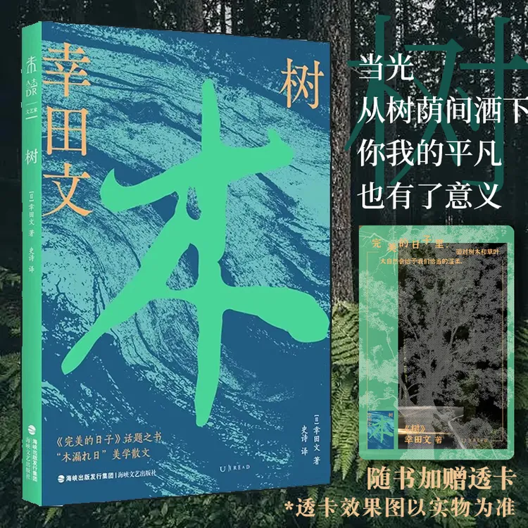 【未读】树（《完美的日子》话题之书，“木漏れ日”美学散文）