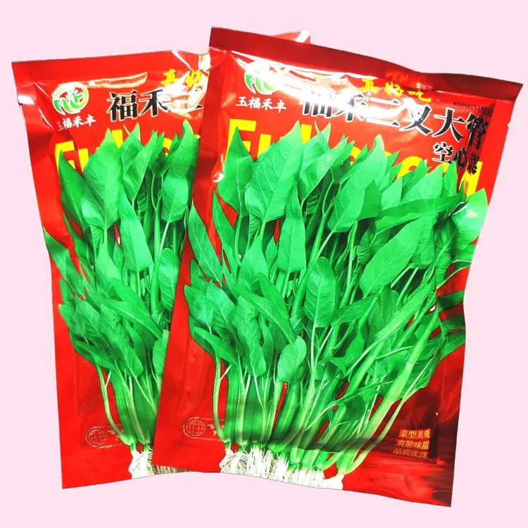 福禾大管三叉空心菜种子四季蔬菜种阳台蔬菜芽苗菜庭院藤藤菜包邮