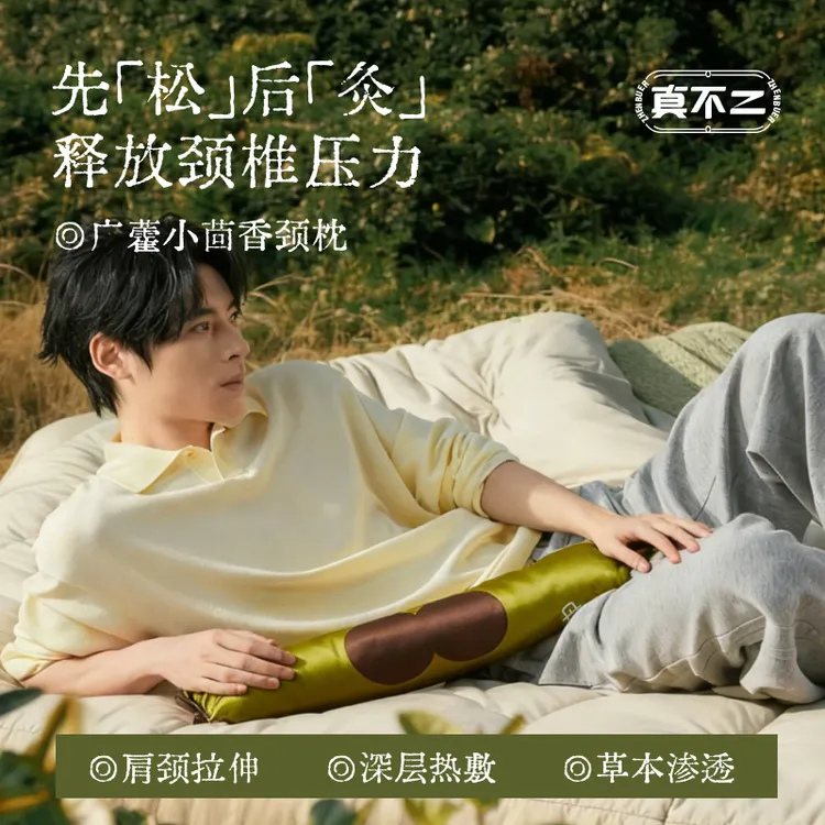 【能加热的颈枕】真不二广藿小茴香加热颈枕荞麦壳草本热灸枕【专属】
