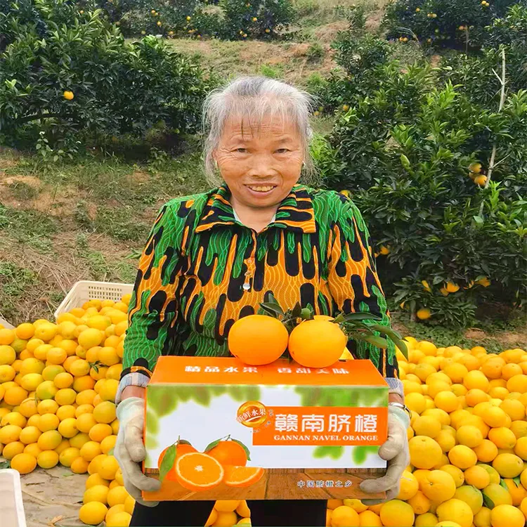 江西赣南脐橙新鲜水果自家果园橙子9.1斤18.2斤装