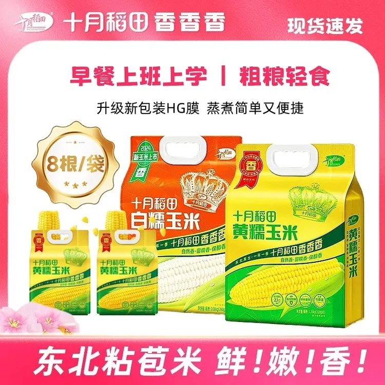 十月稻田玉米粗粮轻食黄糯白糯玉米香甜糯东北黏苞米早餐代餐主食