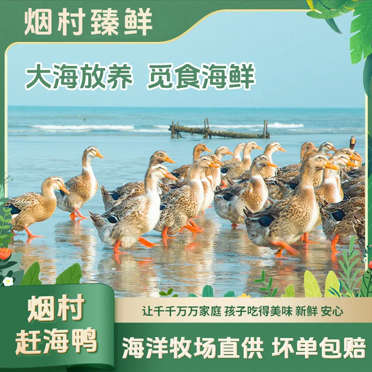 正宗湛江红树林赶海鸭农家土鸭原生态慢养180天散养麻鸭现杀整只
